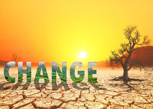 Theory of Change Guide