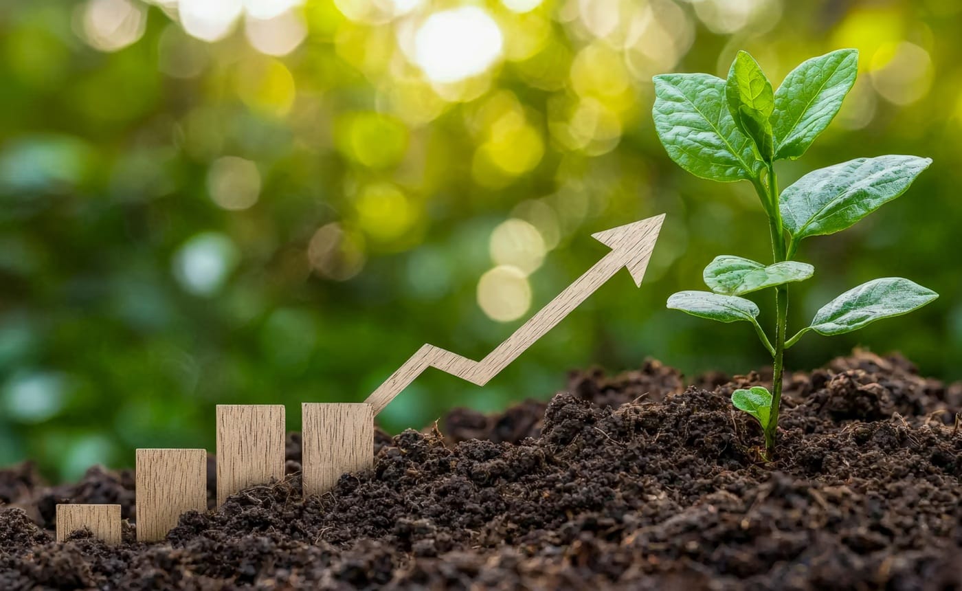 Transitioning from a Grassroots Nonprofit to Governing Board